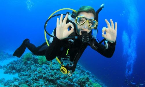 Comfort, Safety, And Control: Exploring The Essential Elements Of Dive Gear